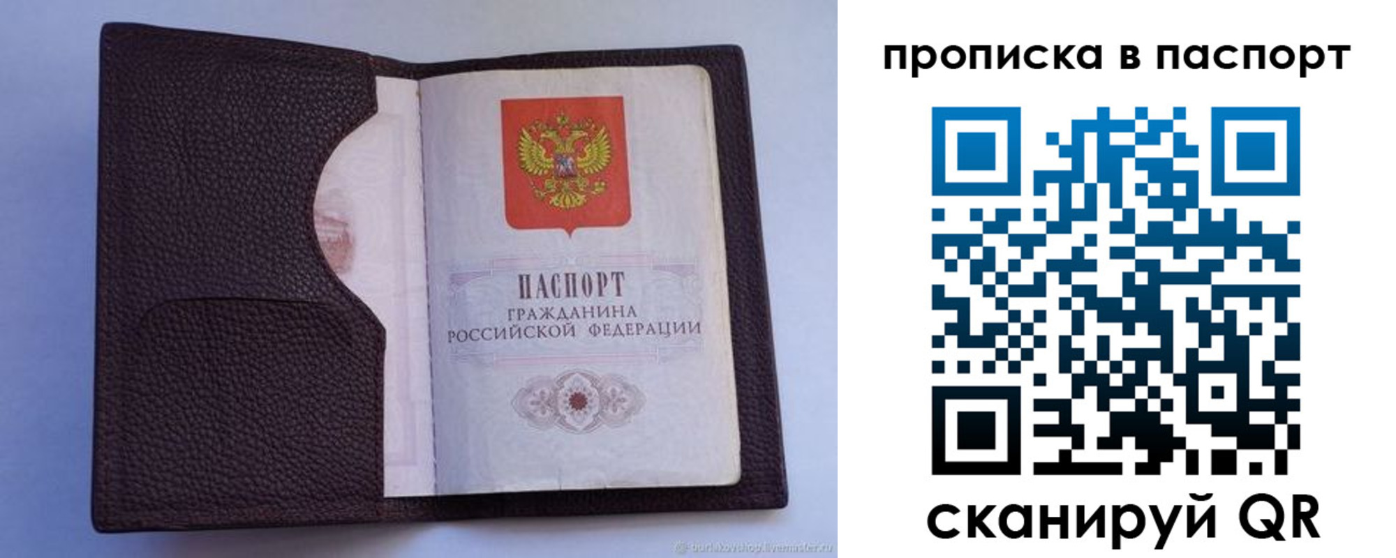 прописка законно в Почепе